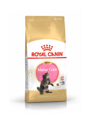 Royal Canin Mainecoon Kitten Dry Cat Food 400 gr