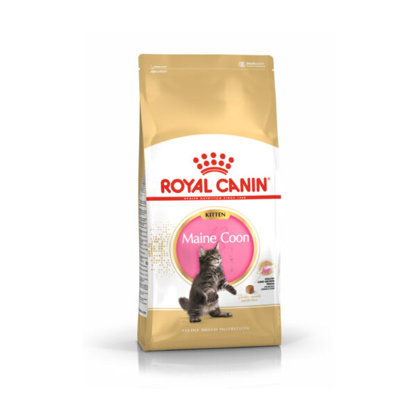 Royal Canin Mainecoon Kitten Dry Cat Food 400 gr