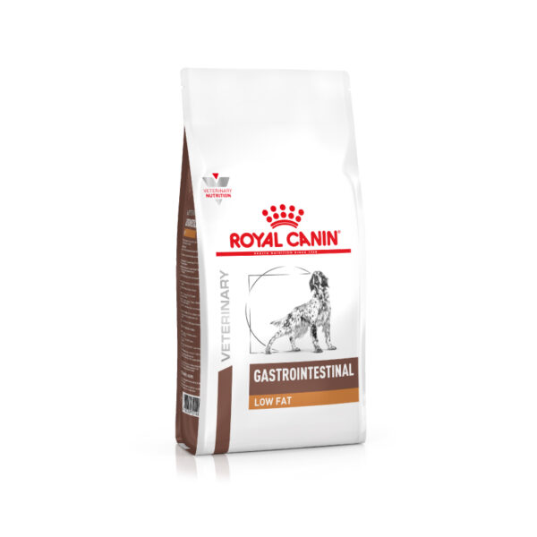 Royal Canin Gastrointestinal Dry Dog Food 2 kg