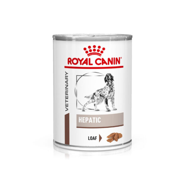 Royal Canin Gastrointestinal Wet Dog Food 400 gr