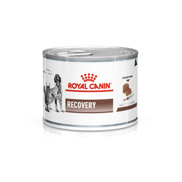 Royal-Canin-Recovery-Wet-Dog-Food-95-gr Royal Canin Recovery Wet Dog Food 95 gr