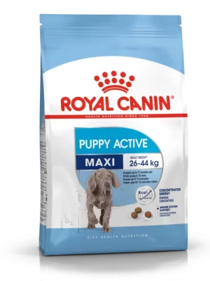 Shn Maxi Puppy Active Za Štence Velikih Rasa 20 KG