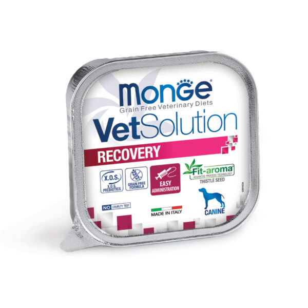 Monge Vet Solution Recovery Wet Dog Food 24x150 gr