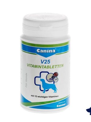 V25 Multivitaminske Tablete 100 GR