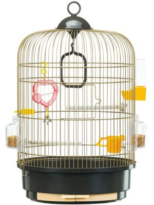 Kavez za ptice Cage Regina Brass