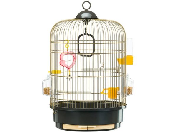 Kavez Za Ptice Cage Regina Brass Kavez za ptice Cage Regina Brass