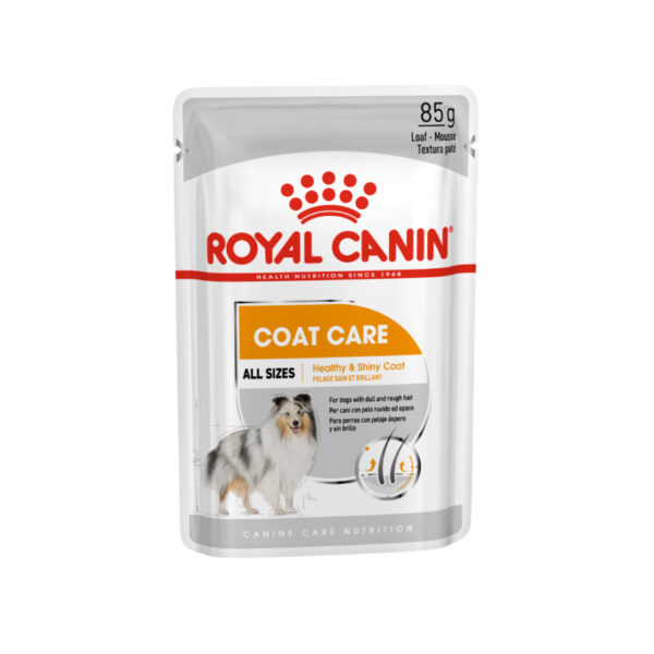 Royal Canin Coat Care Wet Dog Food 12x85 gr